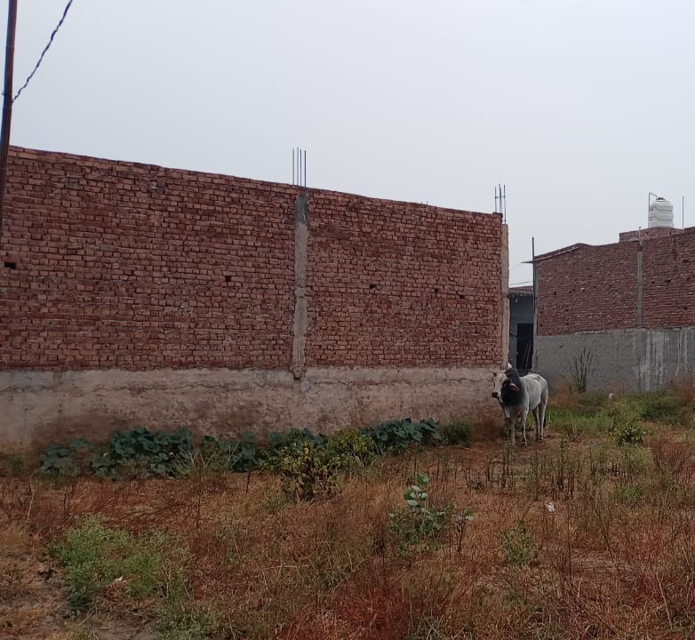 100 Sq. Yrd Corner Plot For Sale In Bhopani